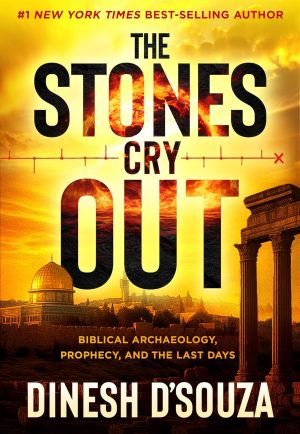 The Stones Cry Out by Dinesh D'Souza